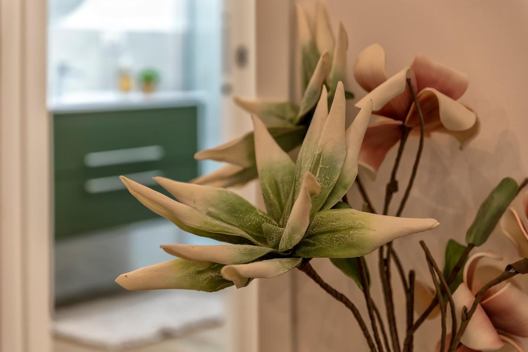 Delia'S Home 알게로 외부 사진